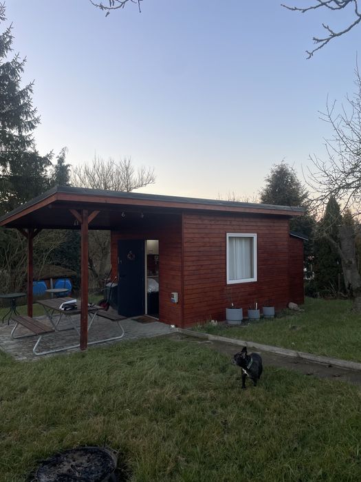 Działka ROD Górki Ustowskie