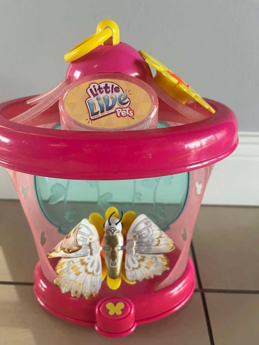 Little Live Pets Interaktywny motyl + domek