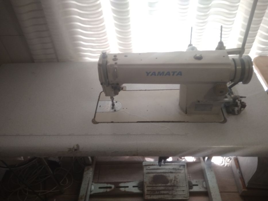 Прямострочка промышленная