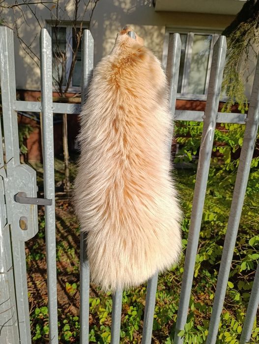 skóra z jenota naturalnego