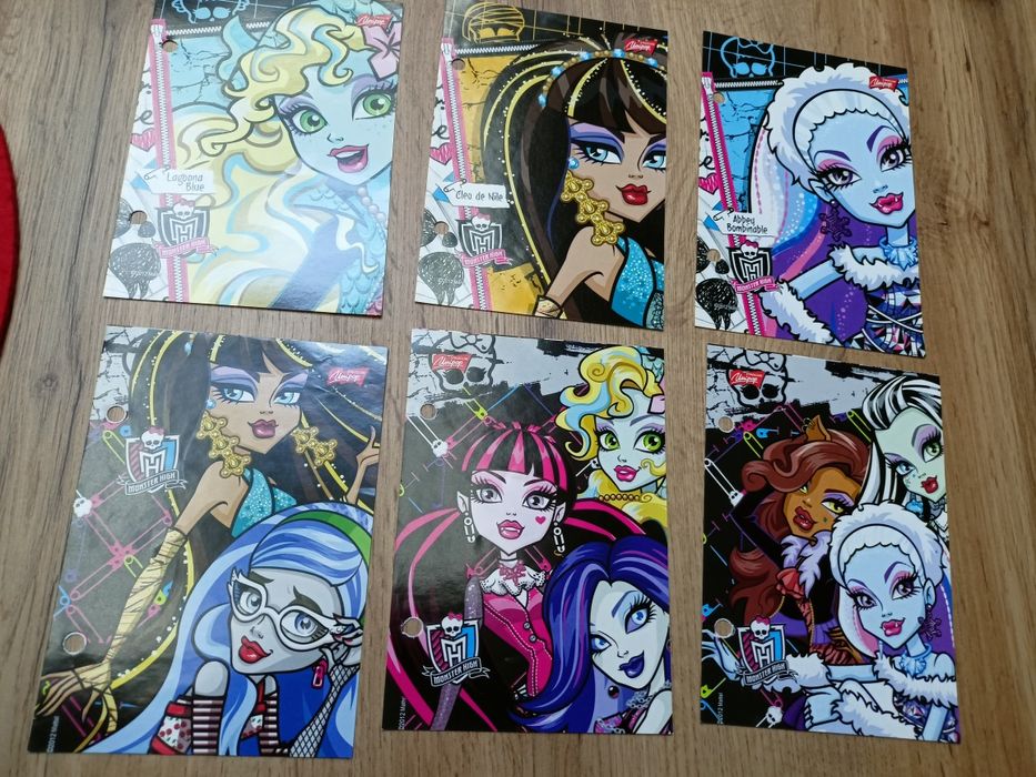 Karteczki do segregatora