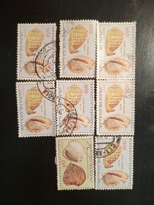 8 selos - Conchas de Angola 1974 - Carimbados. Em excelente estado