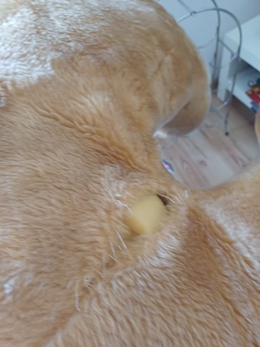 Duży Miś - pluszak