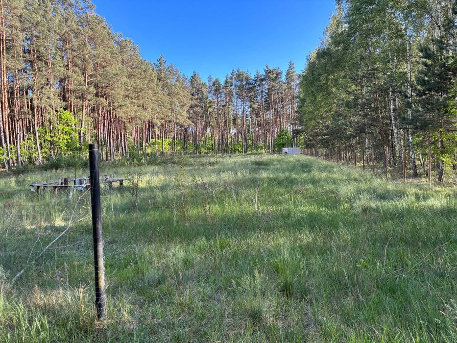 Działka Kąty Czernickie 50km od Warszawy!!! - Widok 5