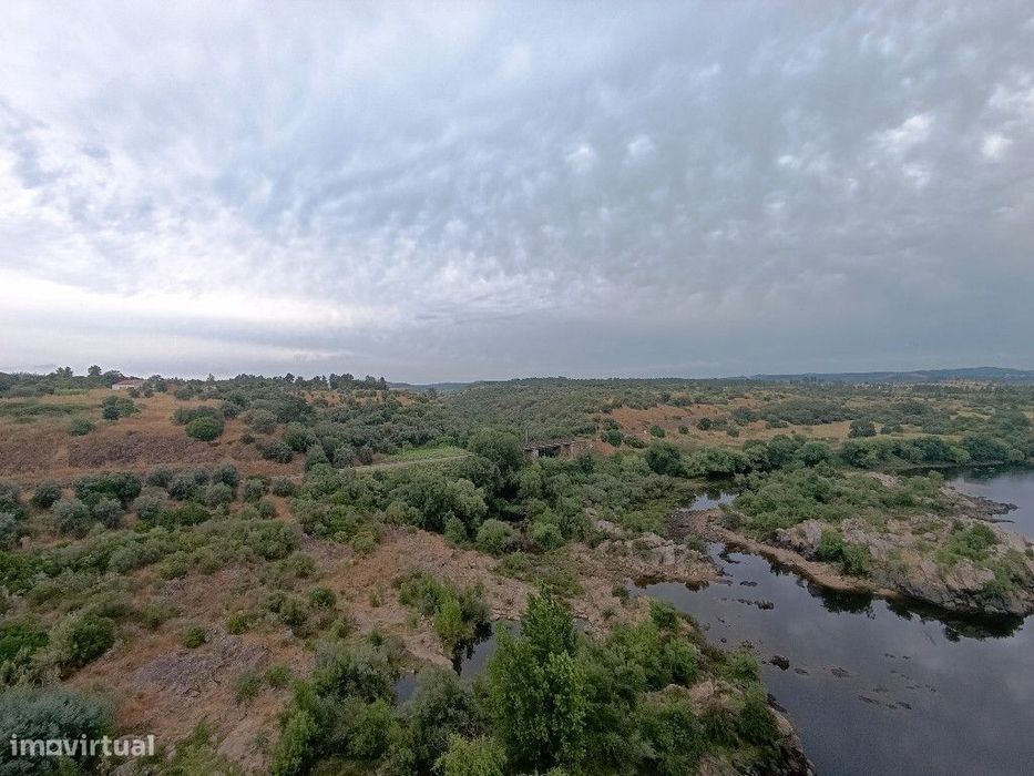 Quinta / Herdade em zona de Mouriscas, Santarém