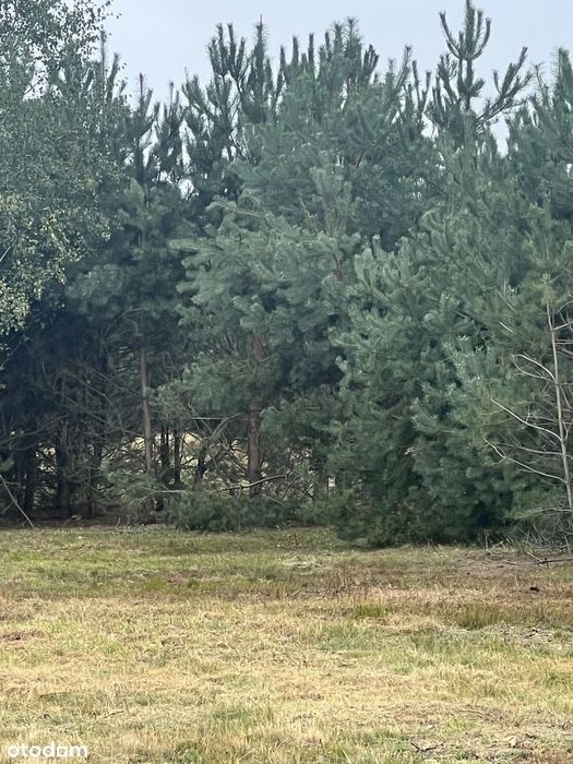 Działka budowlana 3010 m² prąd w drodze