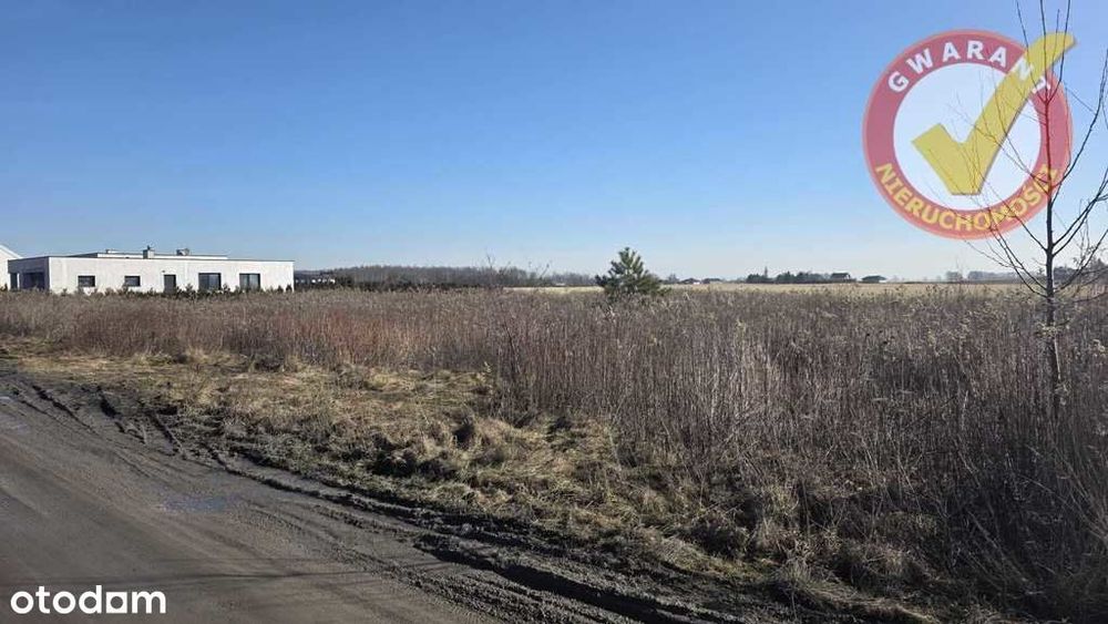 Działka z Wz, na pograniczu Pigży i Leszcza.