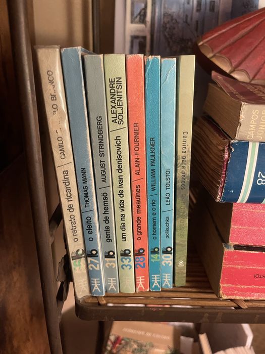 Desbloquear a leitura-ler literatura