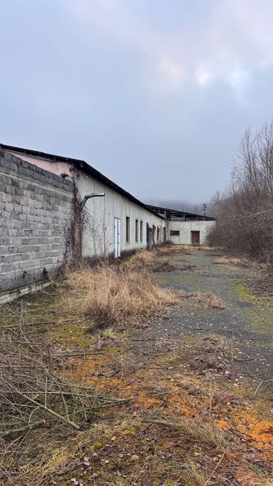 Приміщення 1000 кВ.м