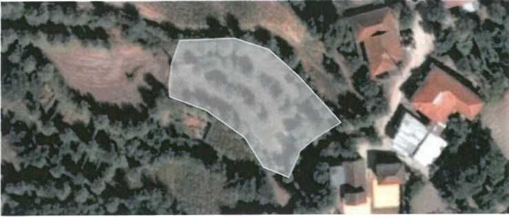 Quinta com Elevado Potencial Agrícola e Turístico