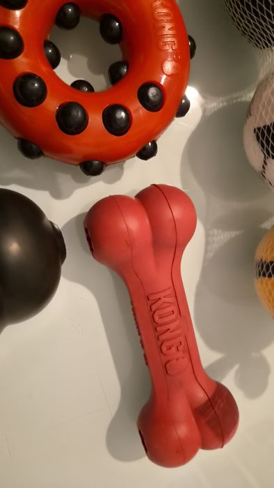 Lote de brinquedos para cão KONG