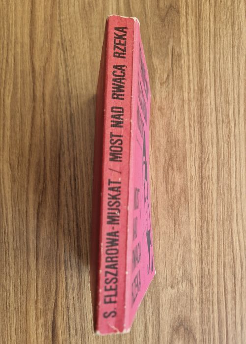 Most nad rwącą rzeką - Stanisława Fleszarowa-Muskat