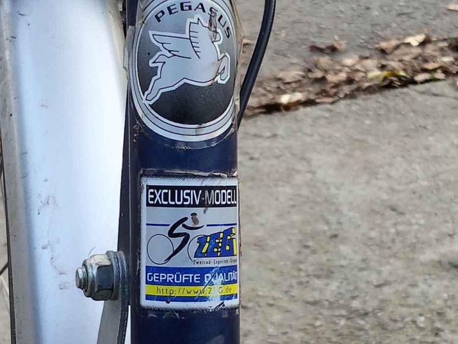 Велосипед Pegasus laola