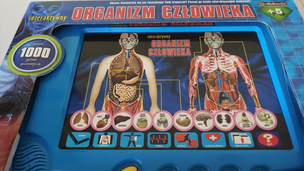Gra edukacyjna organizm człowieka