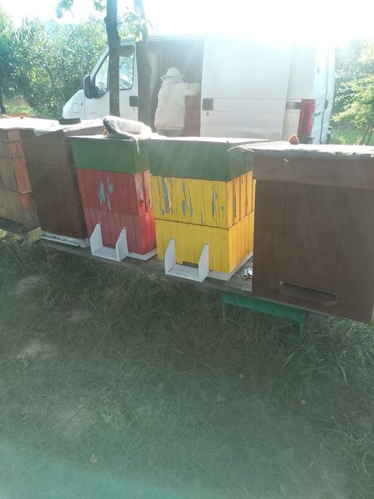 Ule drewniane wielkopolskie