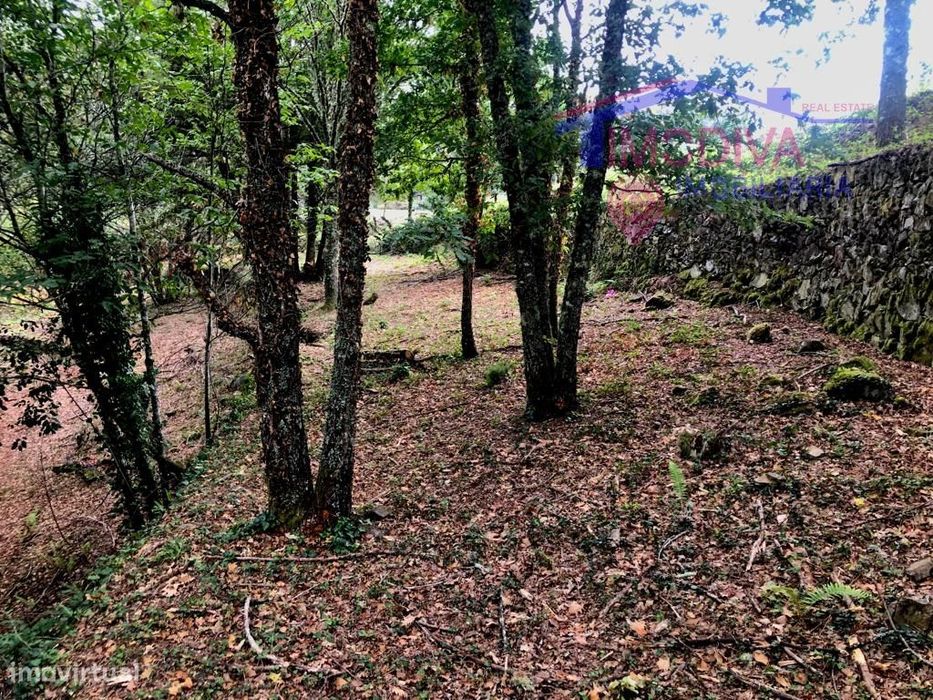 Terreno com 1800 m2 a confinar com ribeira