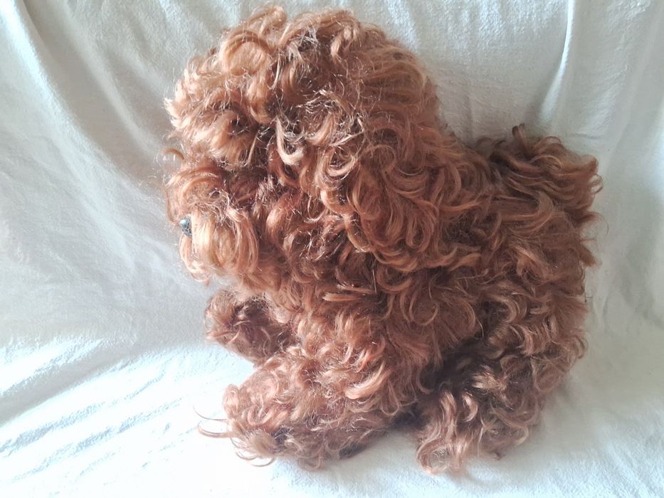 Іграшка собака реалістична вінтаж