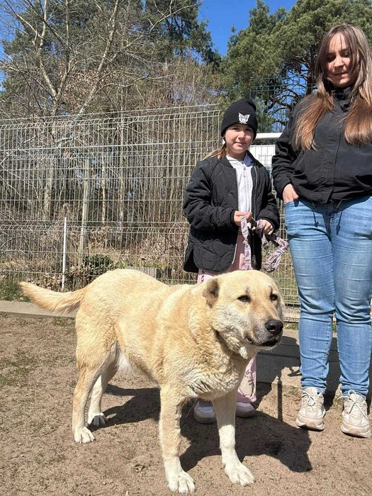 Zuska przyjechala do nas z Turcji