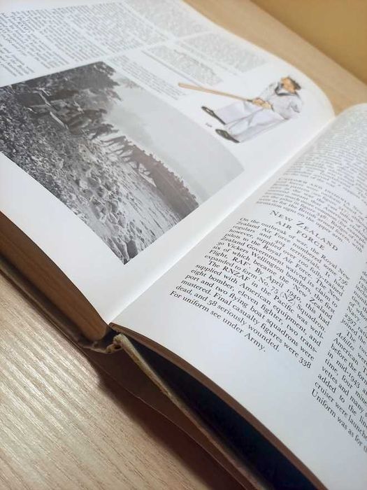 The Armed Forces of World War II: Uniforms, Insignia and Organization - Andrew Mollo