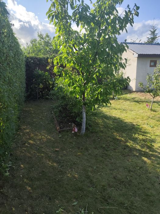 Odstąpię dzierżawę działki ROD