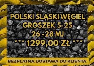 POLSKI WĘGIEL : GROSZEK 5-25, 26-28MJ - Transport Gratis !