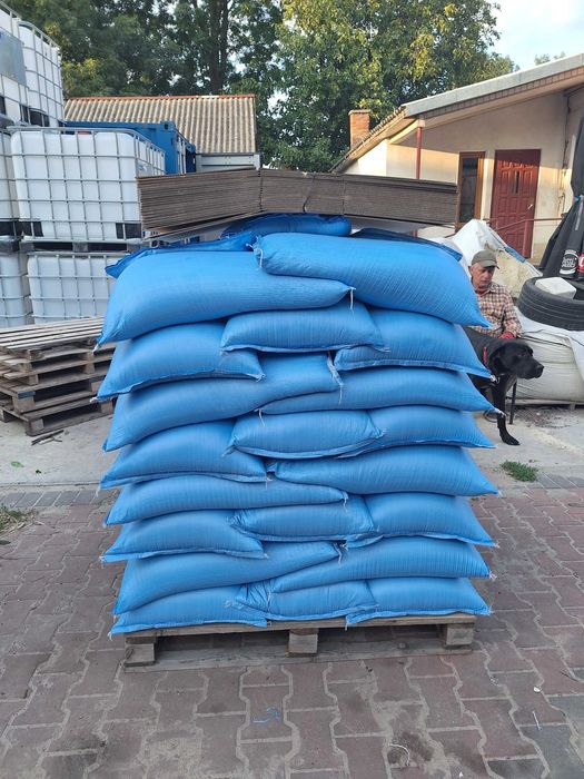 Mieszanka Gorzowska Tymotka Trawa Koniczyna Lucerna Gorczyca Wysyłka