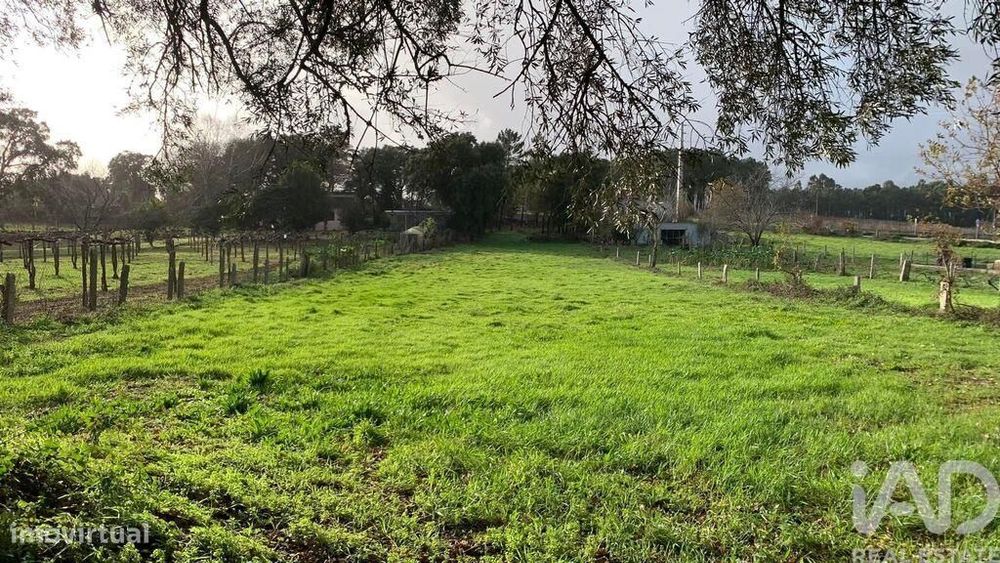 Terreno para construção em Mazedo e Cortes de 2600,00 m2