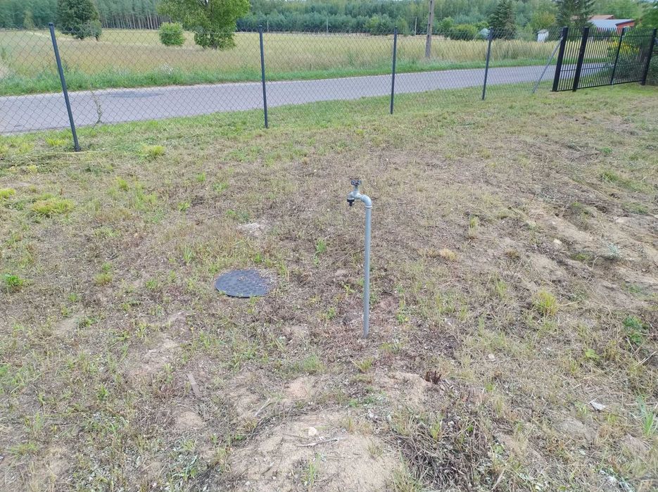 Działka rolna 1 ha Felicja - Widok 3
