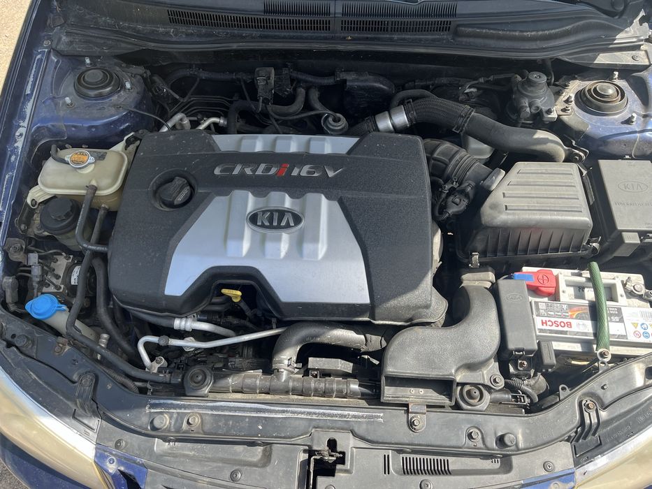 Kia Cerato 2005 VIN KNEFE245255153966 фото оголошення 12 з 13