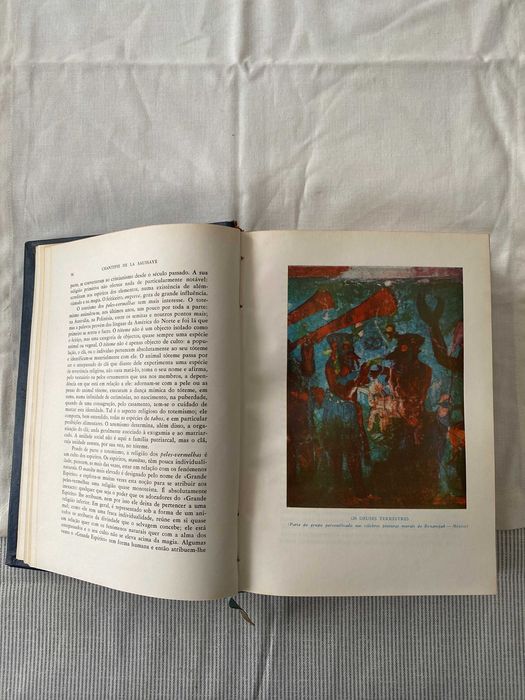 História das Religiões -  Chantepie de la Saussaye