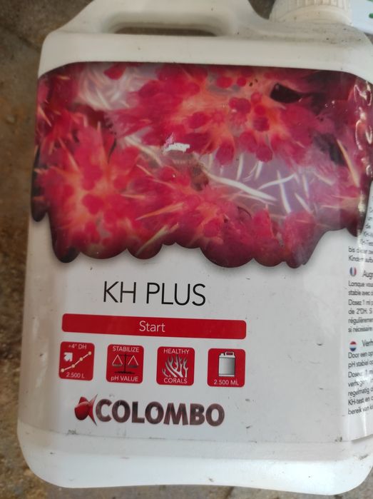 Colombo do akwarium morskiego