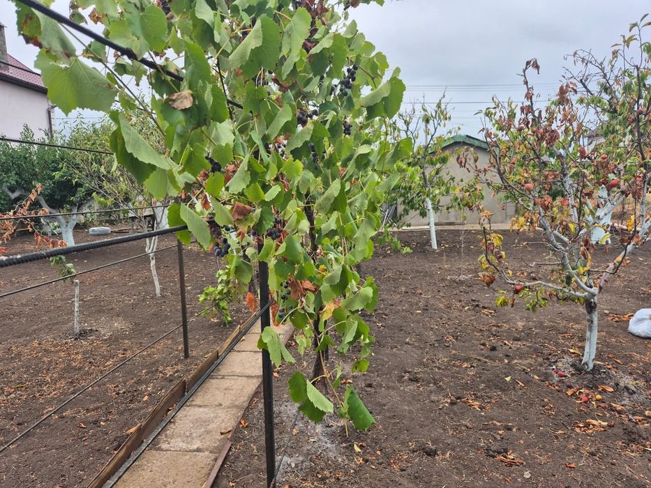 Продам дачу возле моря Черноморск