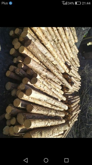 Słupki na ogrodzenie tymczasowe do siatki leśnej