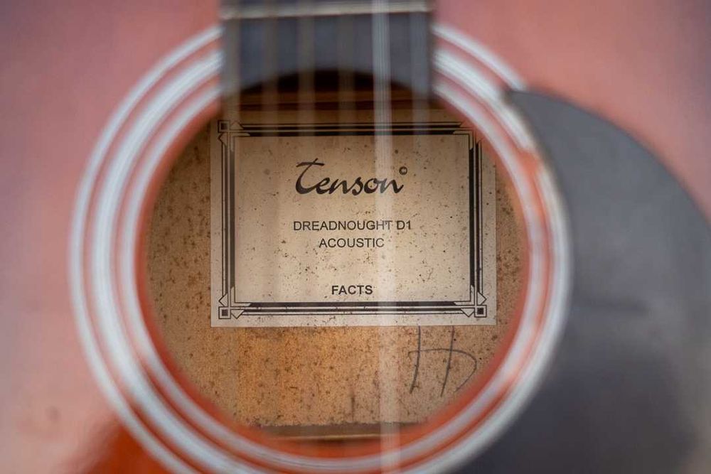 Tenson D1 Дренаут - акустична гітара