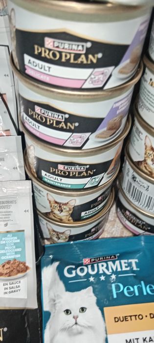 корм вологий для котів