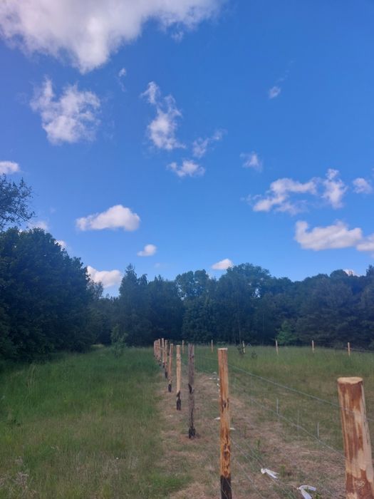 Ogrodzenie Lesne Tymczasowe Budowlane