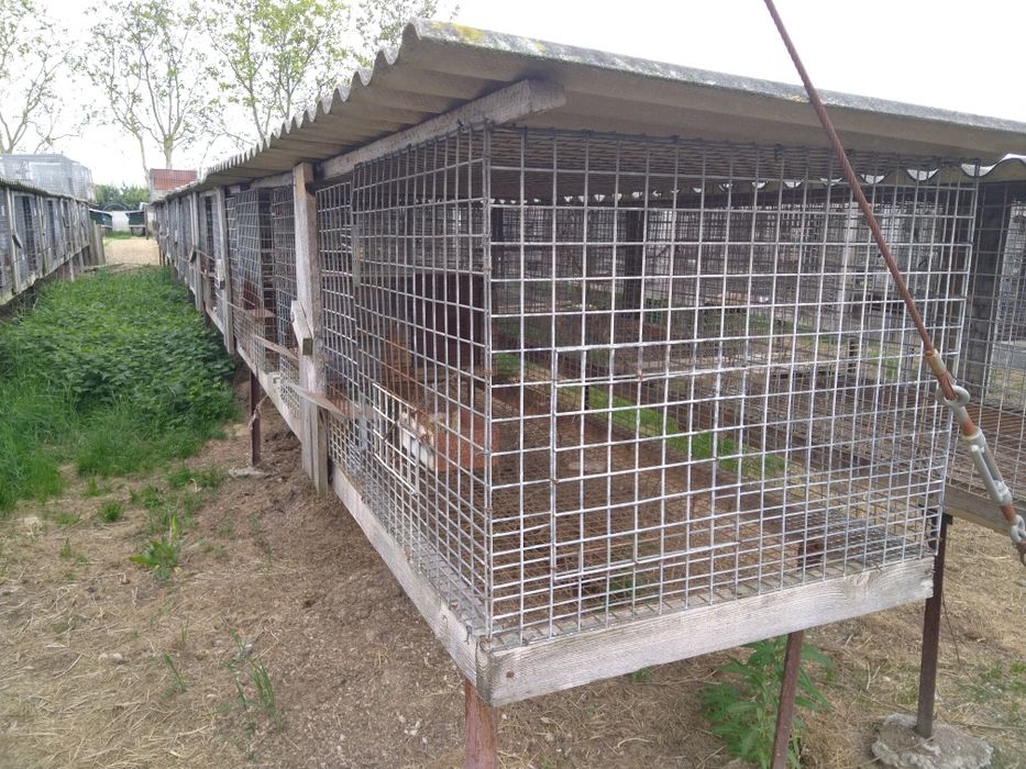 Klatki dla zwierząt, siatki ,kojce,siatki zbrojeniowe