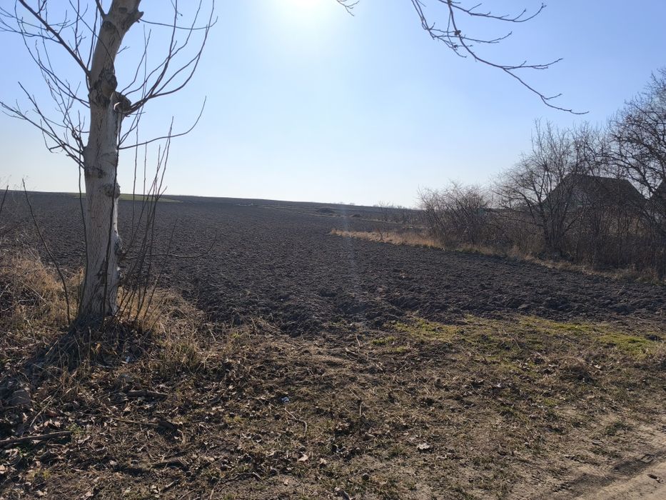 Продаю земельну ділянку в селі Синява