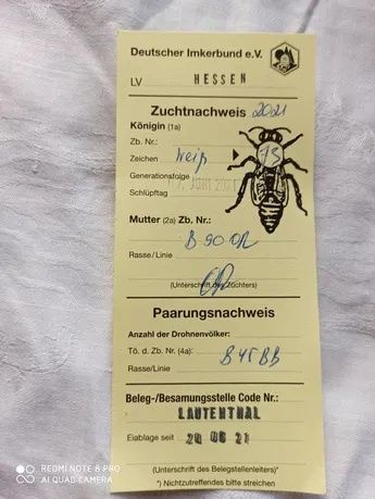 Плідна карніка Пешец, бджоломатки, пчеломатки.бджоли.матка