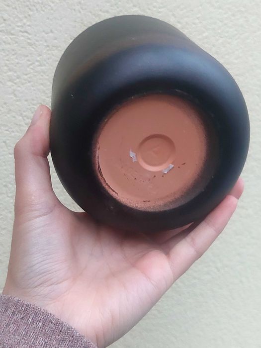 Vaso novo com 10 cm