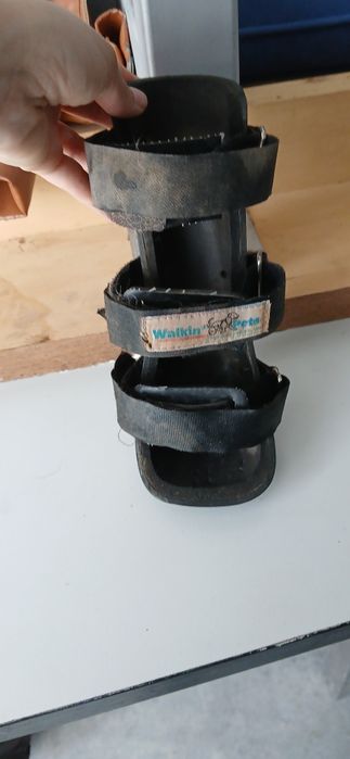 Tala ortopédica para cão