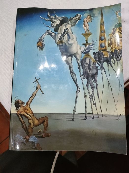 Dali - A Obra Pintada