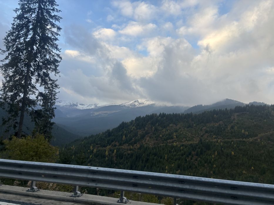 Аренда Буса микроавтобуса ( 8 мест) с водителем