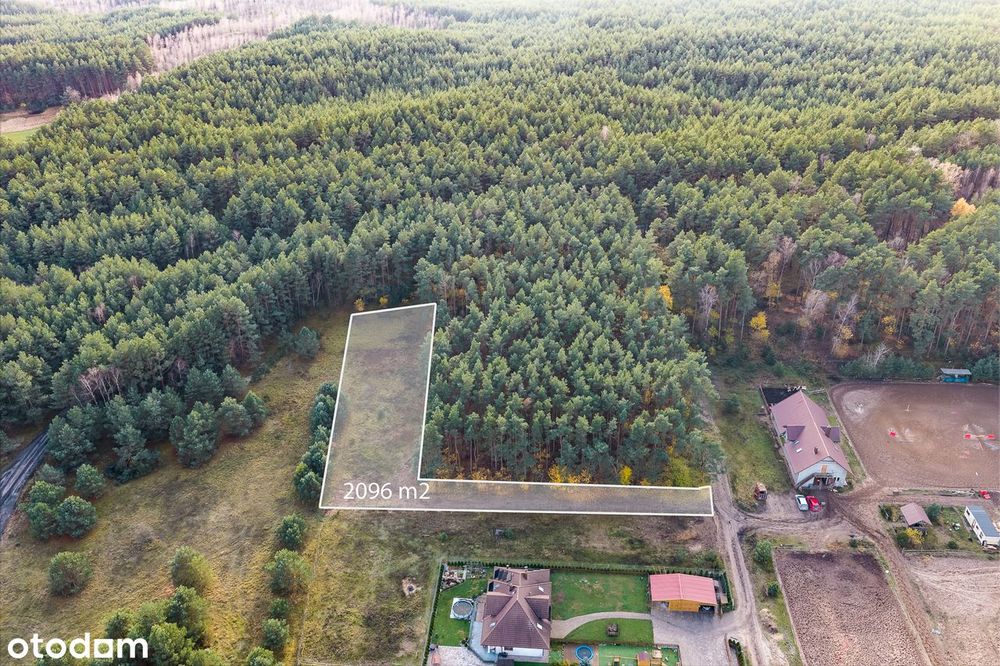Działka pod lasem, idealna na Twój wymarzony dom, Sąsieczno!