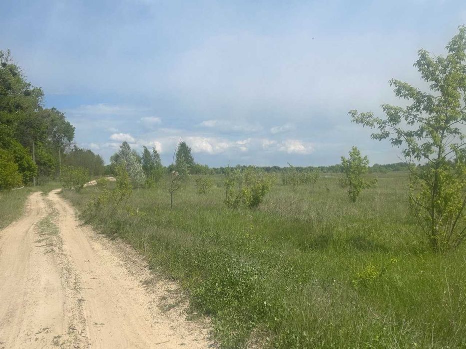 Продам ділянку в Нових Петрівцях. Вишгородський р-н - More