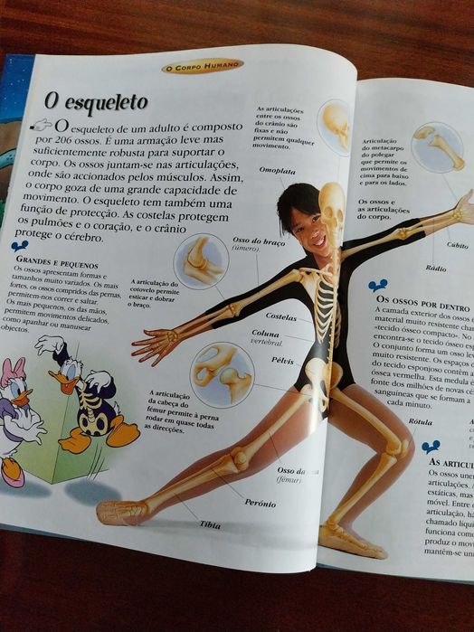 O Corpo Humano, livro didático, com personagens da Disney