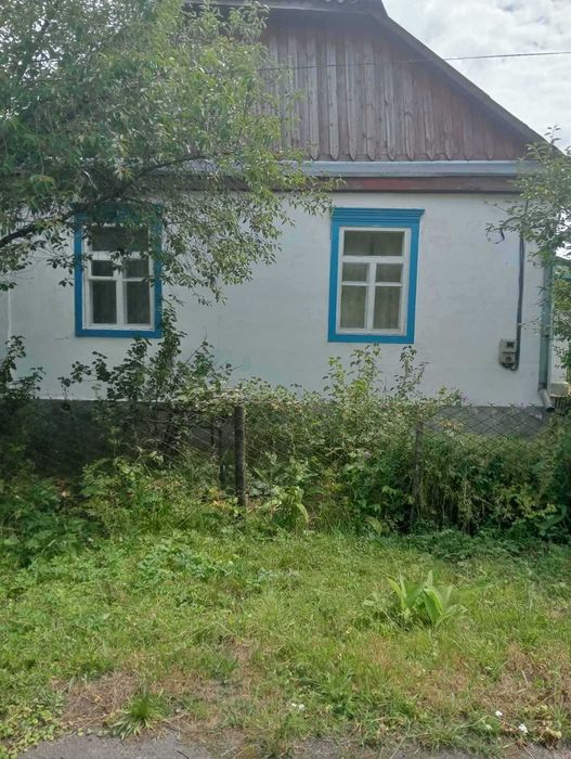 Продається будинок в м.Олевськ