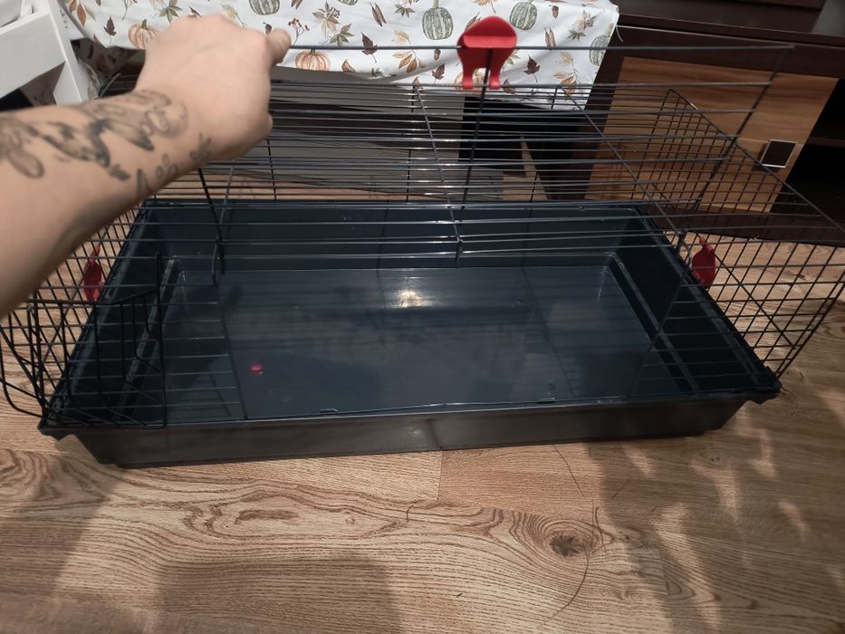 Klatka dla królika świnki morskiej