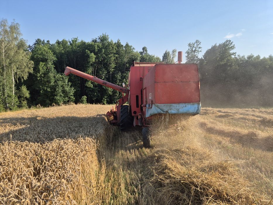 Sprzedam bizona super zo56