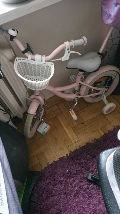 Rower sun baby flower bike